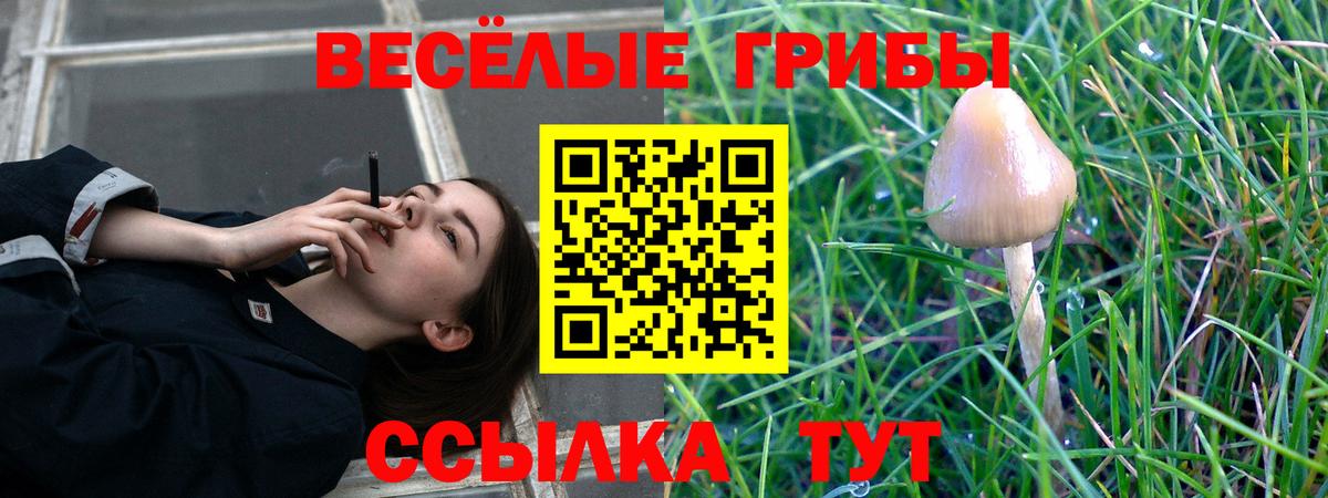 Белорецк  Псилоцибиновые грибы мицелий  Вход с VPN 